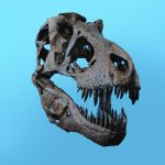 Pesquisadores Brasileiros Descobrem Fóssil de Dinossauro Após Fortes Chuvas no Rio Grande do Sul